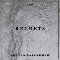 Shayan Tajbakhsh - REGRETS