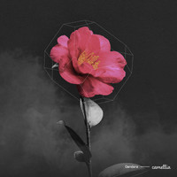 DenDora - camellia