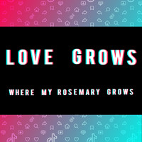The Magic Time Travelers - Love Grows (Where My Rosemary Grows) (TikTok Viral)