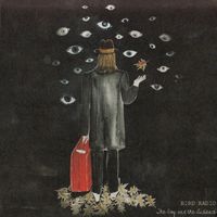 Bird Radio - The Boy and the Audience