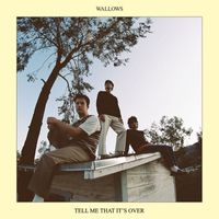 Wallows - Tell Me That It’s Over (Explicit)