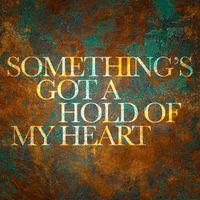 Bonnie Raitt - Something's Got a Hold of My Heart
