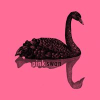 Pink Swan - The Case Of The Pink Swan