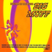 Big Muff - Music From The Aural Exciter