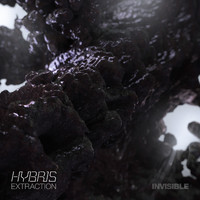 Hybris - Extraction