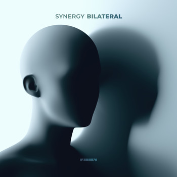 Synergy - Bilateral