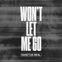 Sanctus Real - Won't Let Me Go