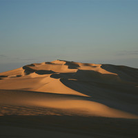 Steve K - Faces in the Sand