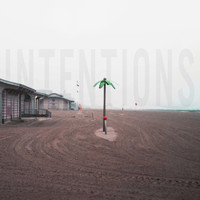 Palms - Intentions