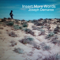 Joseph Demaree - Insert More Words