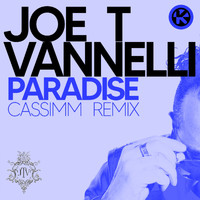 Joe T Vannelli - Paradise (CASSIMM Remix)
