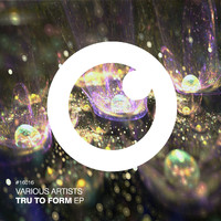 Need For Mirrors - Tru To Form