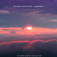 Private Excellence - Suspended