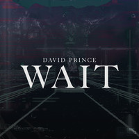 David Prince DJ - Wait (Radio Edit)