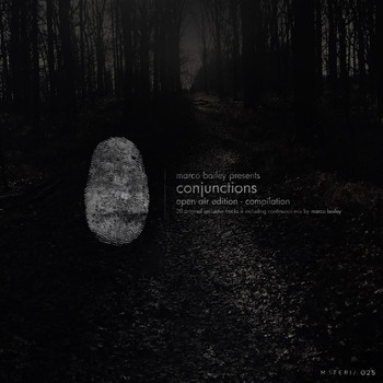 Various Artists - Conjunctions (Open Air Edition)
