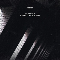 Survey - Life Cycle EP