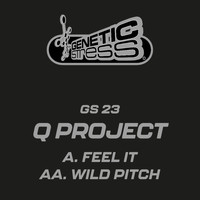 Q Project - Feel It / Wild Pitch