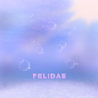 Felidae - Katla
