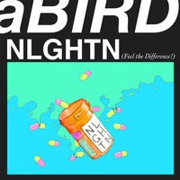 aBIRD - Nlghtn