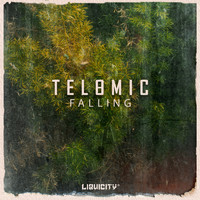 Telomic - Falling