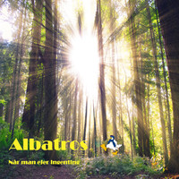 Albatros - Når man ejer ingenting