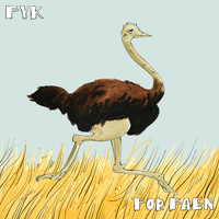 FYK - FYK For Faen