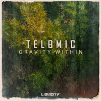 Telomic - Gravity Within