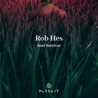 Rob Hes - Soul Survivor