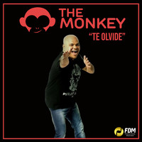 The Monkey - ''Te Olvide''