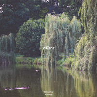 The Afterglow - Willow