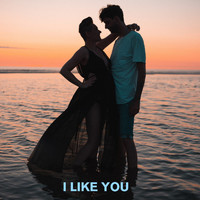 Sarajane - I Like You