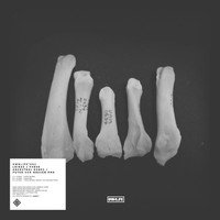 Peter Van Hoesen - These Ancestral Bones