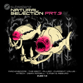 Various Artists - Natural Selection Prt 3