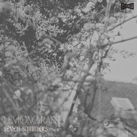 Lemongrass - Seven Summers