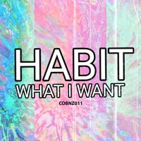 Habit - What I Want