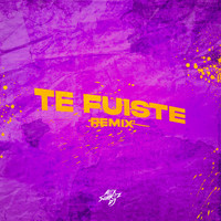 Alex Suarez DJ - Te Fuiste (Remix)