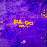 Alex Suarez DJ - Pa Co (Remix)