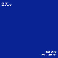 Great Peacock - High Wind (Live and Acoustic)