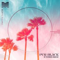 Pur Black - Icebreaker