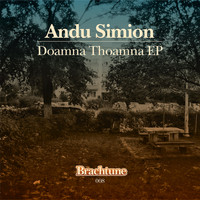 Andu Simion - Doamna Thoamna EP