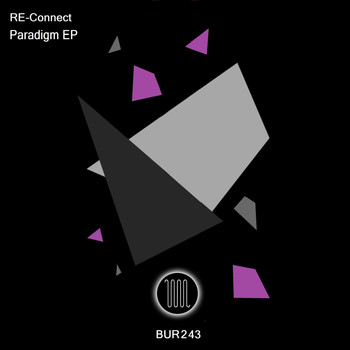RE-Connect - Paradigm EP