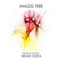 Bruno Costa - Analog Tribe