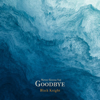 Black Knight - Never Gonna Say Goodbye