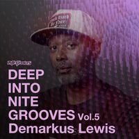 Demarkus Lewis - Deep Into Nite Grooves, Vol. 5