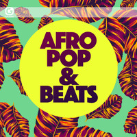Bustafunk - Afro Pop & Beats