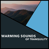 Relaxing Chill Out Music - Warming Sounds Of Tranquility