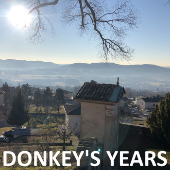 Various Artists - Donkey's Years