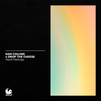 Sam Collins & Drop The Cheese - Hard Feelings