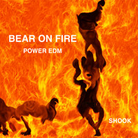 Shook - Bear on Fire Power Edm