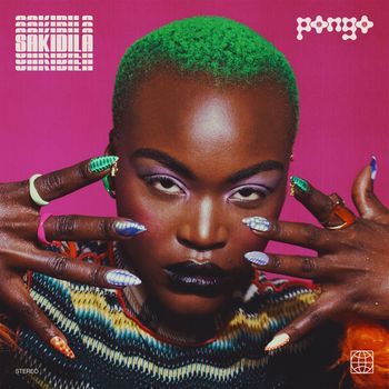 Pongo - Sakidila
